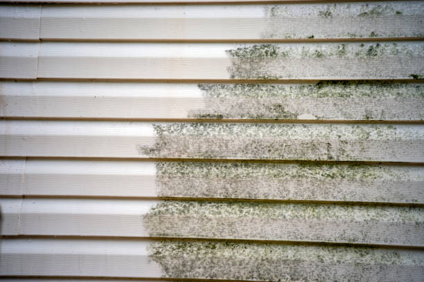 Best Siding Painting and Refinishing  in Lincoln, AL