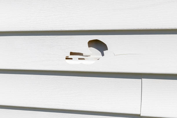Best Siding for New Construction  in Lincoln, AL