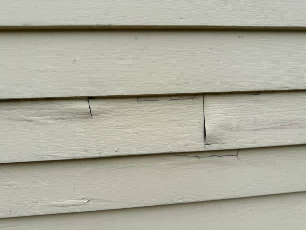 Best Brick Veneer Siding  in Lincoln, AL